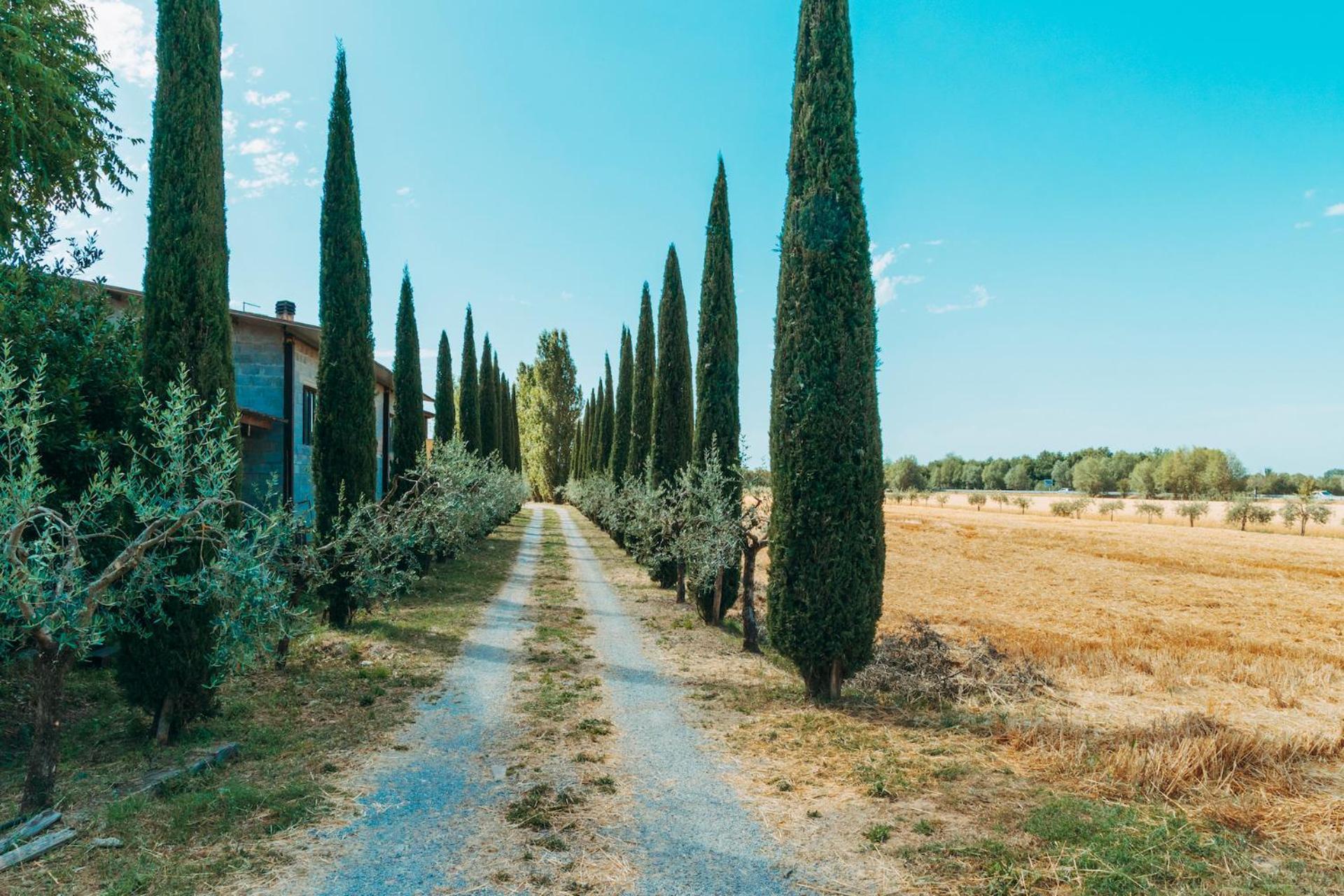 Agriturismo Il Borgo Cortona Buitenkant foto
