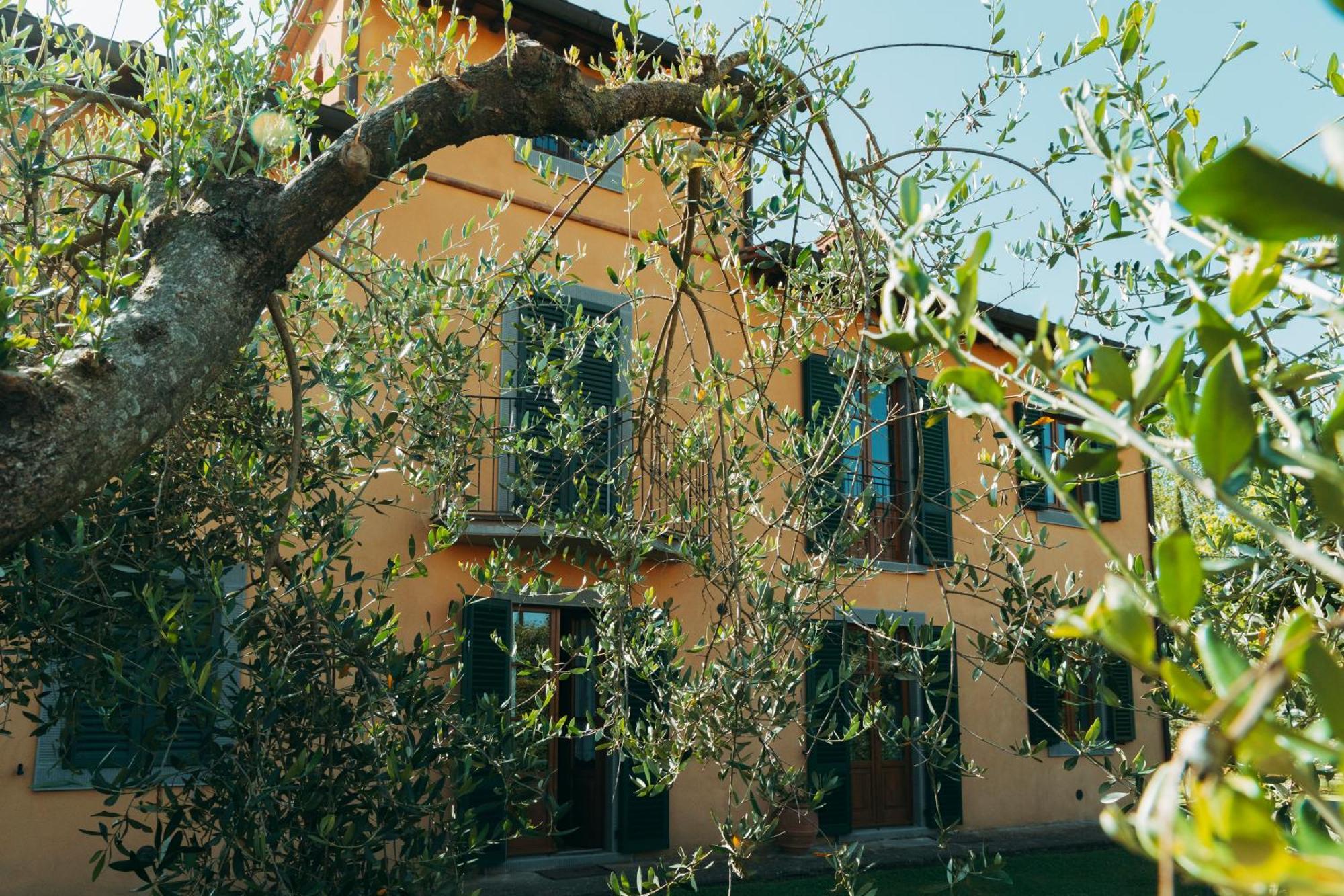 Agriturismo Il Borgo Cortona Buitenkant foto